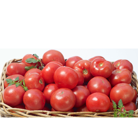 Tomatoes (Local Variety)