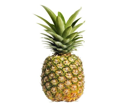Pineapple (Medium)